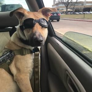 Meet your Posher, Mark